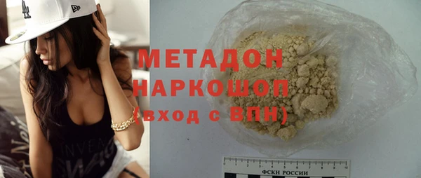 стаф Алзамай