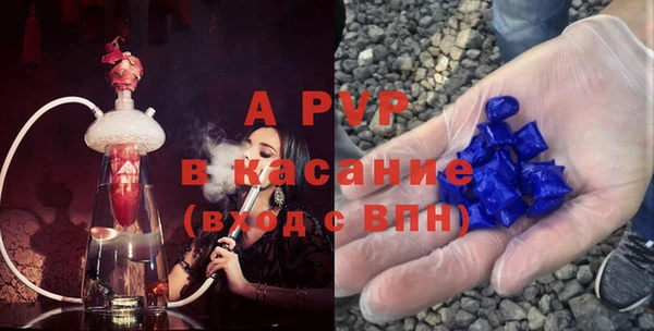 стаф Алзамай