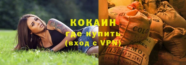 стаф Алзамай