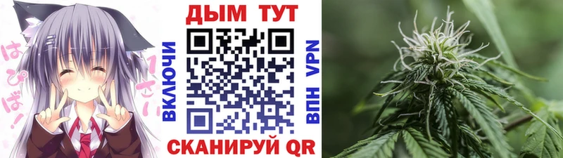 Бошки Шишки VHQ Жирновск